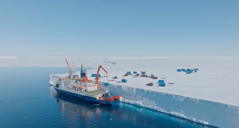 阿姆記事：Melt in the IDFA